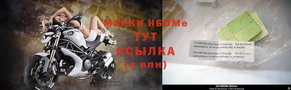 крисы Алзамай