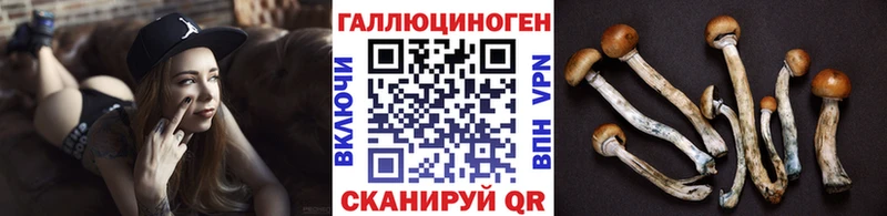 Псилоцибиновые грибы мицелий  как найти закладки  Изобильный 